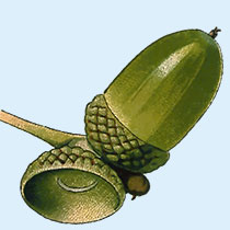 Verification image 1